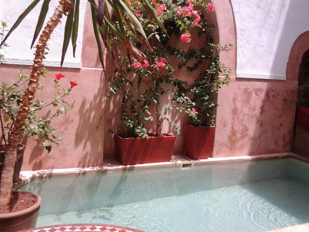 Ryad Dar Ganou Marrakesh Buitenkant foto