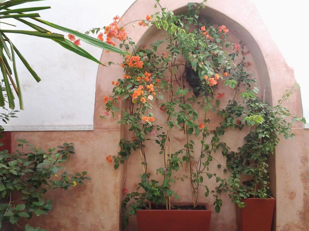 Ryad Dar Ganou Marrakesh Buitenkant foto