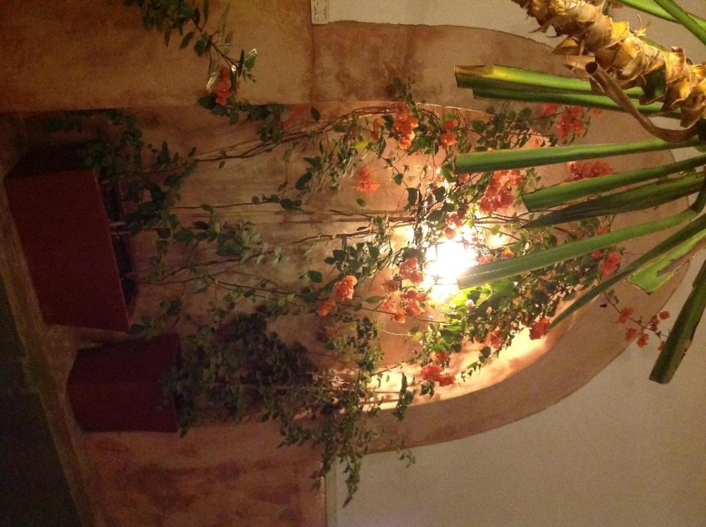 Ryad Dar Ganou Marrakesh Buitenkant foto